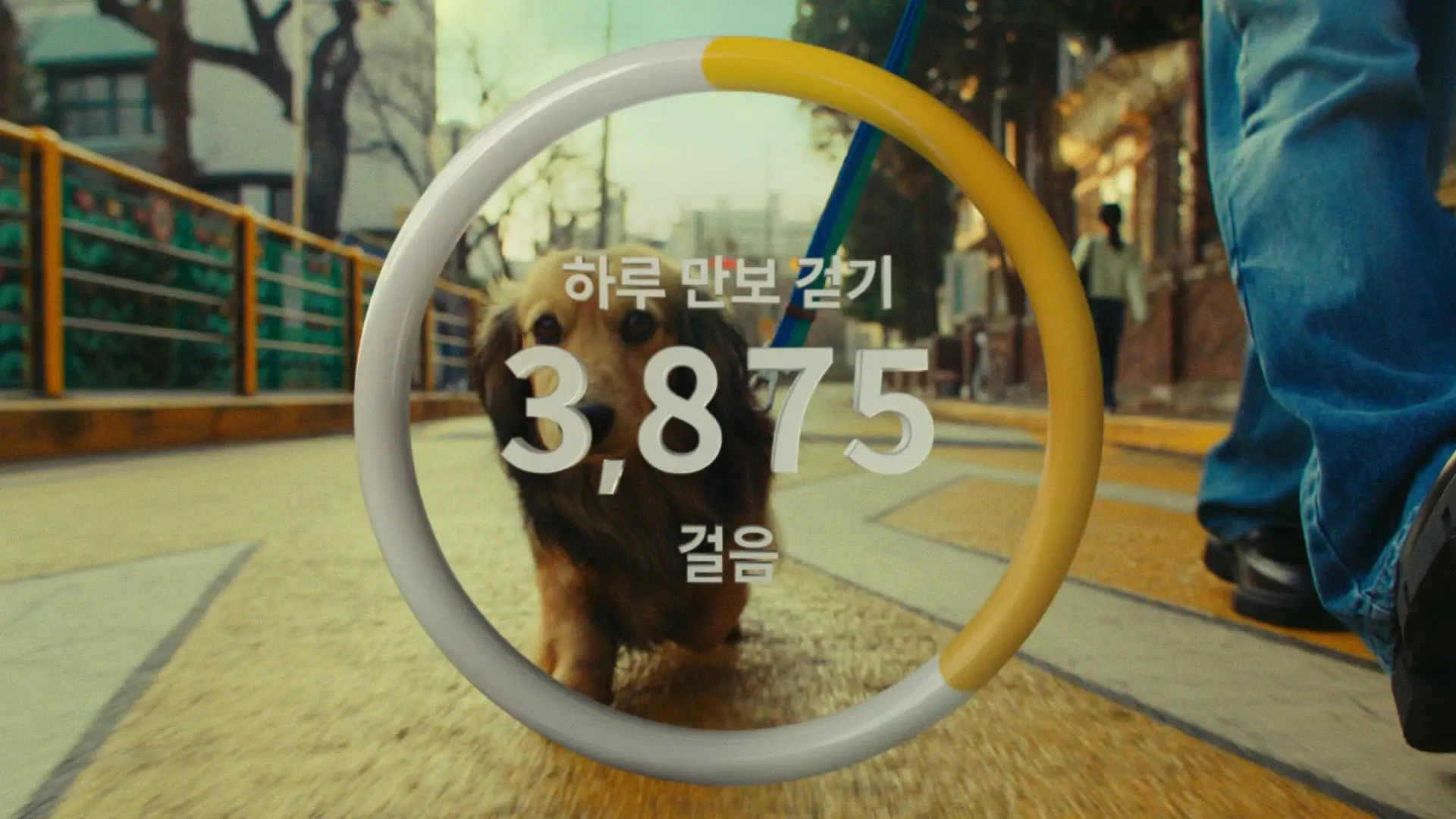 메인 영상 대체 이미지